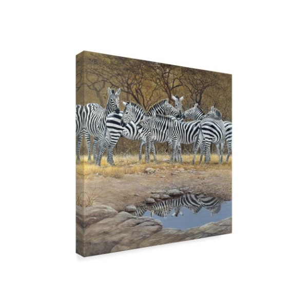 Harro Maass 'Zebras Savannah' Canvas Art,35x35